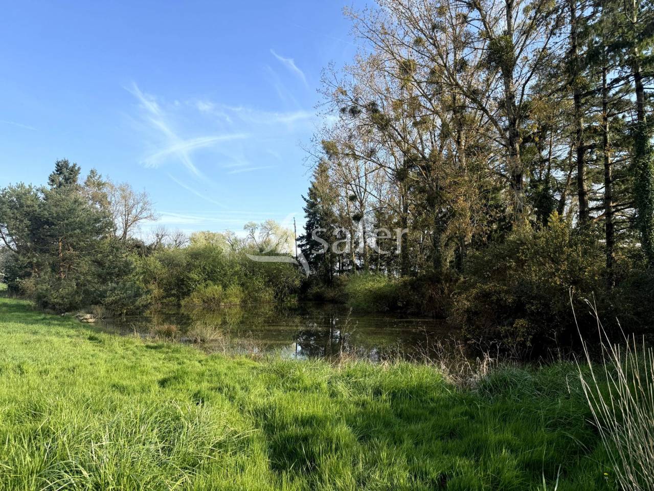 Propiedad ecuestre En venta Indre y Loira