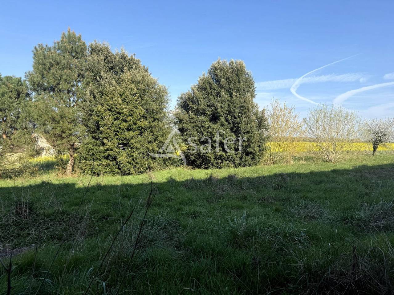 Propiedad ecuestre En venta Indre y Loira