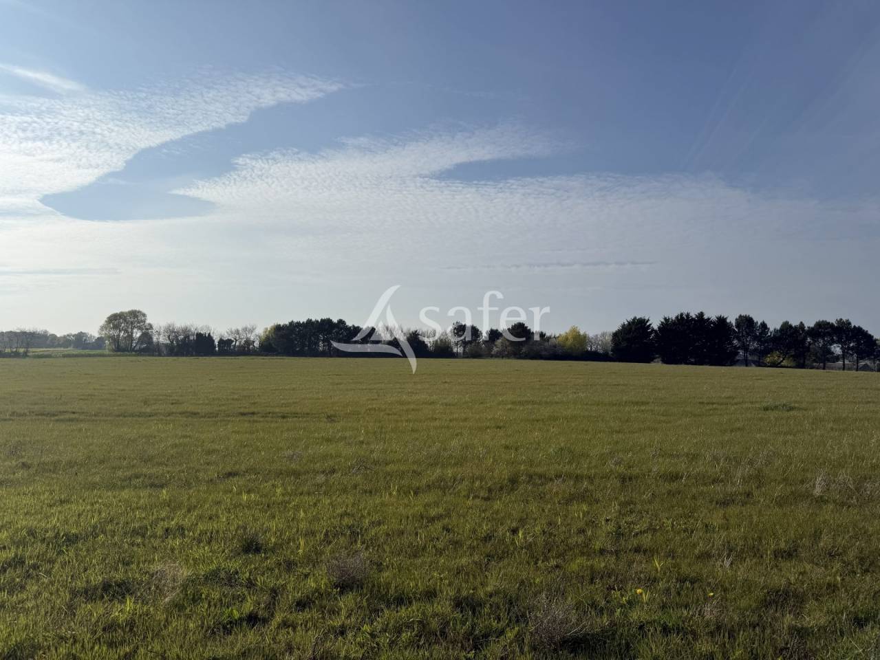 Propiedad ecuestre En venta Indre y Loira