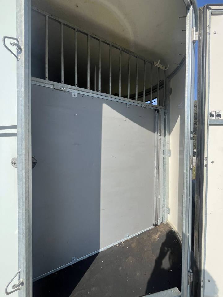 Van caballos Fautras  4 Caballos 2020 De segunda mano