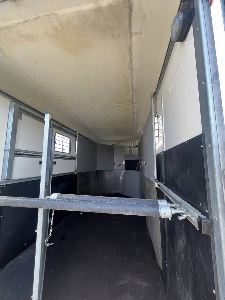 Van caballos Fautras  4 Caballos 2020 De segunda mano