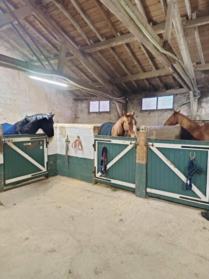 Bonita residencia ecuestre En venta Deux-S&egrave;vres