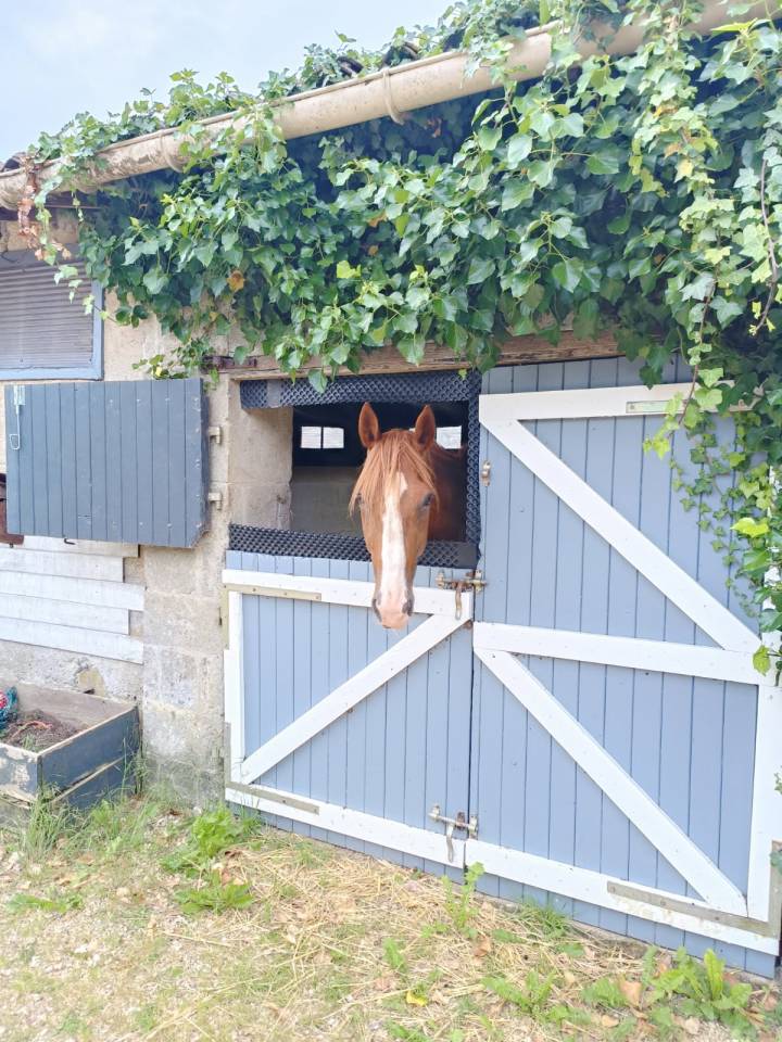 Bonita residencia ecuestre En venta Deux-S&egrave;vres