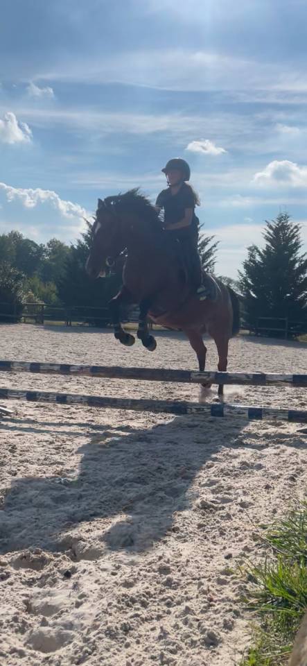 Yegua Trot&oacute;n Franc&eacute;s En venta 2019 Bayo