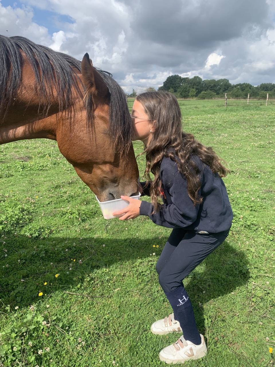 Yegua Trot&oacute;n Franc&eacute;s En venta 2019 Bayo