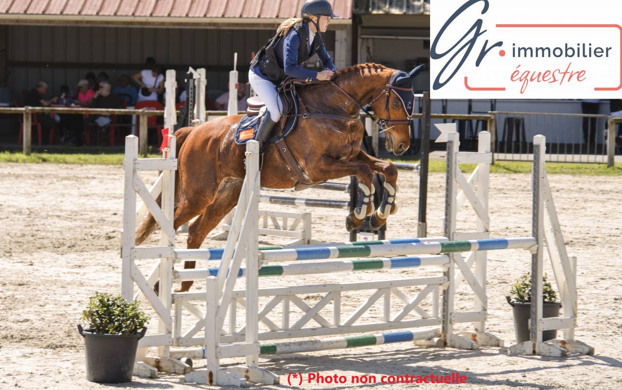 Centro ecuestre En venta Deux-S&egrave;vres