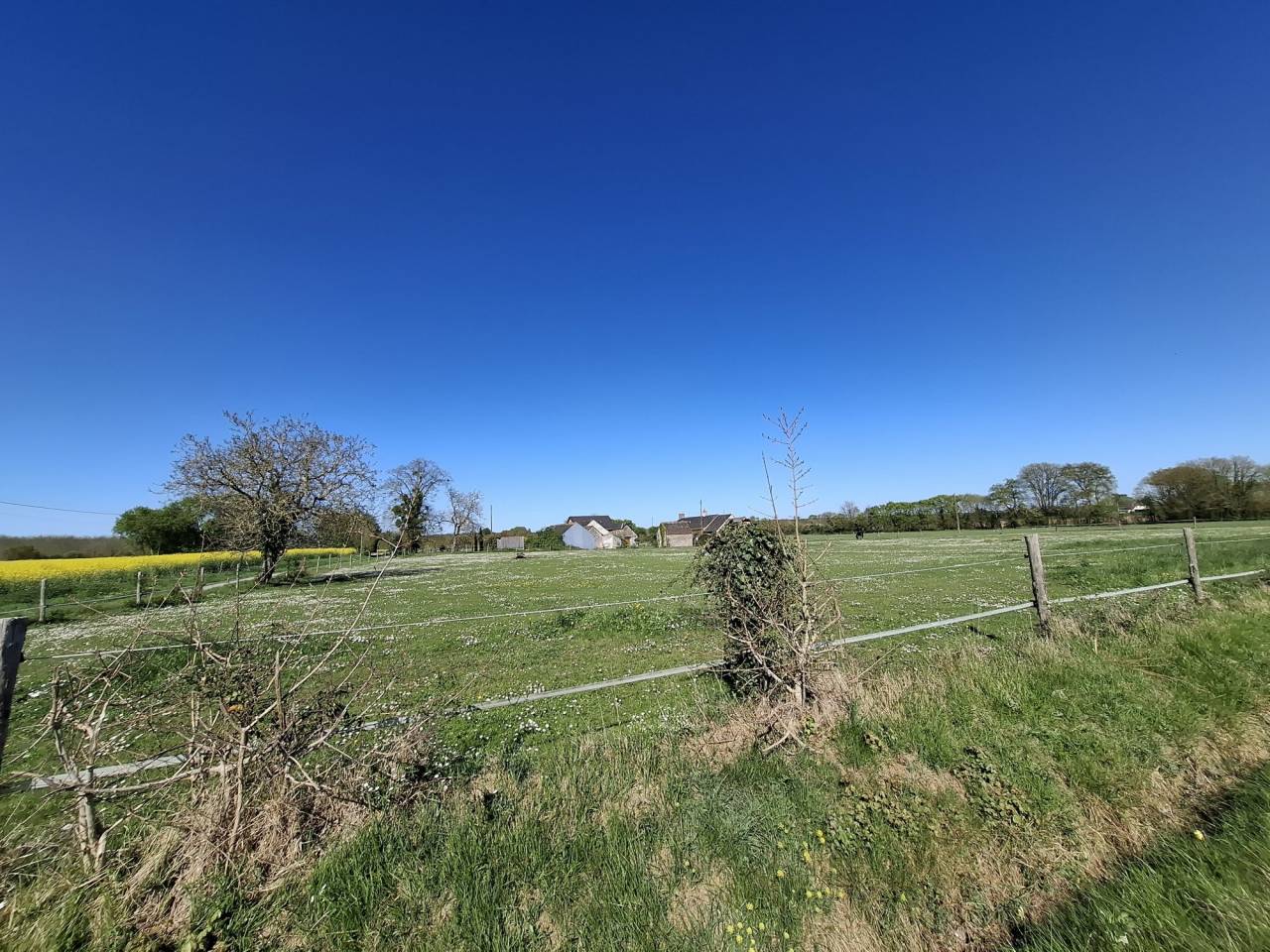 Propiedad ecuestre En venta Maine y Loira