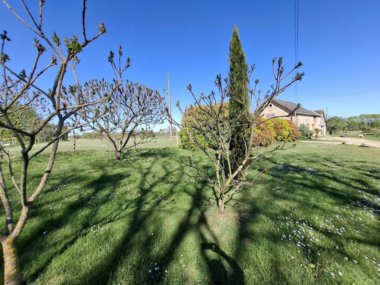 Propiedad ecuestre En venta Maine y Loira