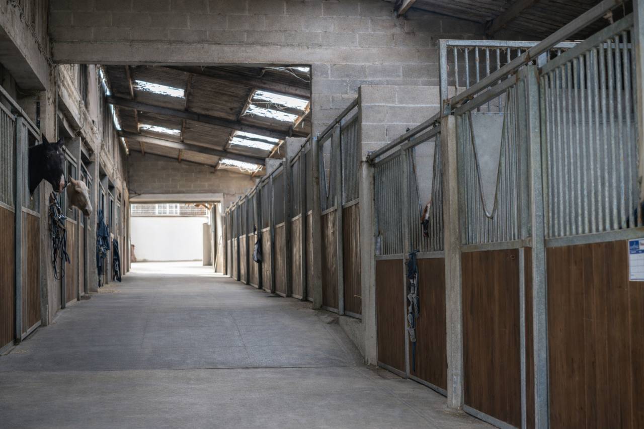 Propiedad ecuestre En venta Ardenas