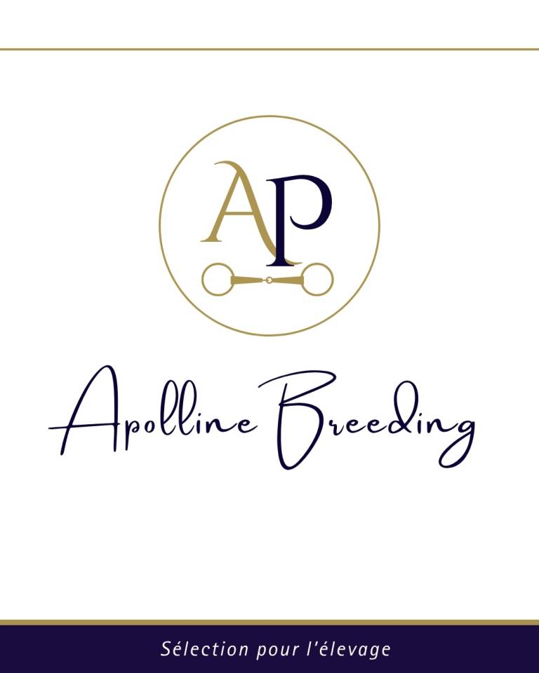 Yegua de ganader&iacute;a Pura Sangre En venta 2023 Bayo por For fun