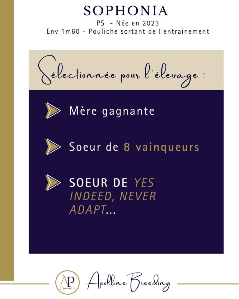 Yegua de ganader&iacute;a Pura Sangre En venta 2023 Bayo por For fun