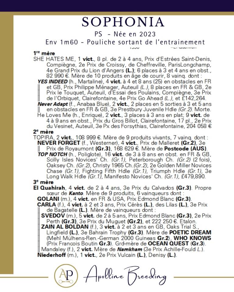 Yegua de ganader&iacute;a Pura Sangre En venta 2023 Bayo por For fun