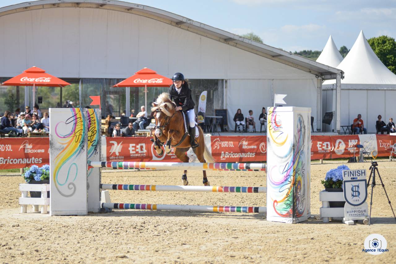 GOLBURY DES BERTAINES - Welsh Poni (Secci&oacute;n B) 2016 por VINCE DIWAN