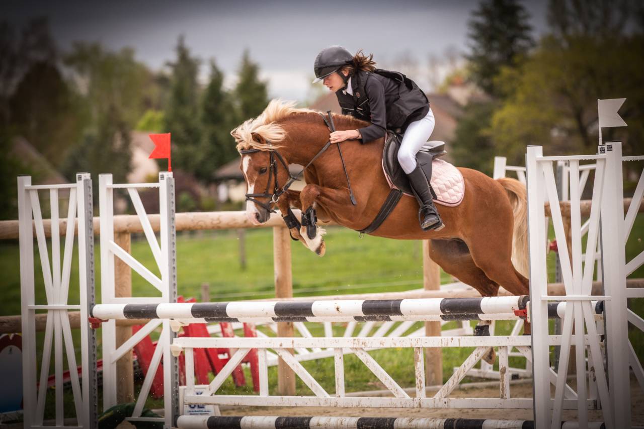 GOLBURY DES BERTAINES - Welsh Poni (Secci&oacute;n B) 2016 por VINCE DIWAN