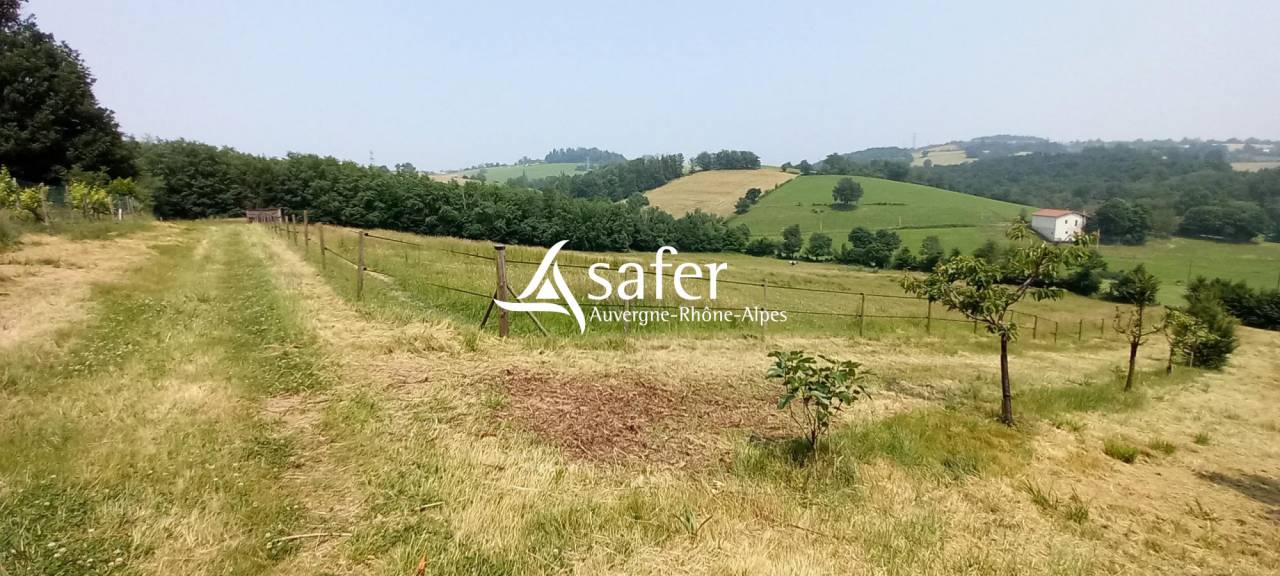 Explotaci&oacute;n agr&iacute;cola En venta Loira