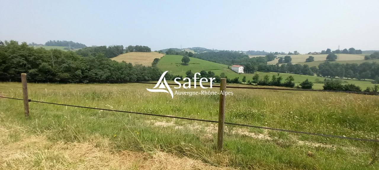 Explotaci&oacute;n agr&iacute;cola En venta Loira