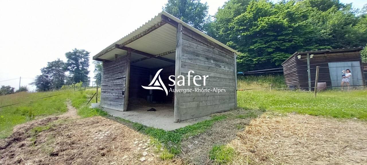 Explotaci&oacute;n agr&iacute;cola En venta Loira