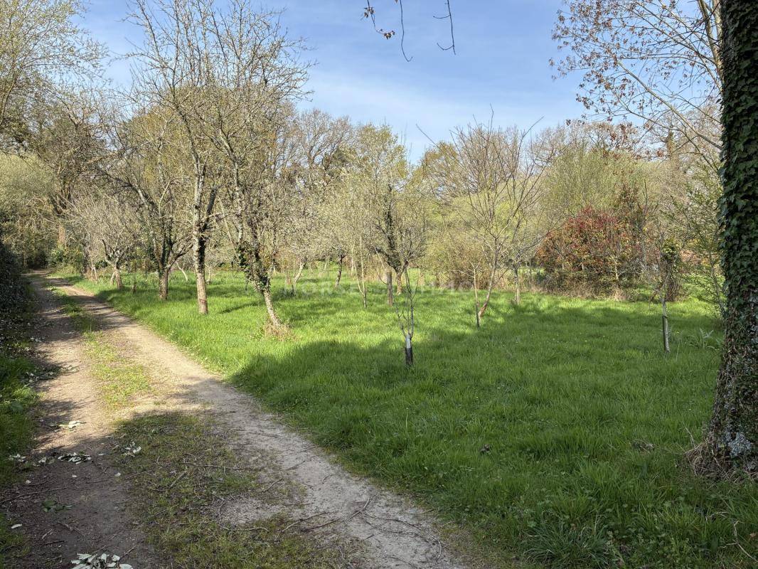 Propiedad ecuestre En venta Morbihan