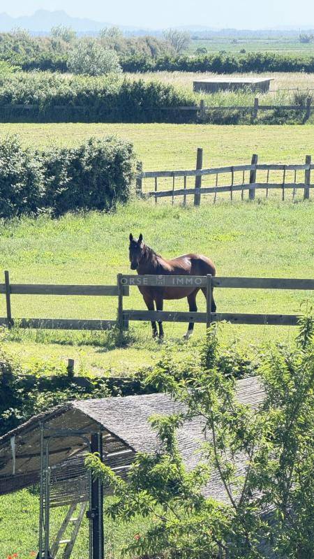 Propiedad ecuestre En venta Bocas del R&oacute;dano