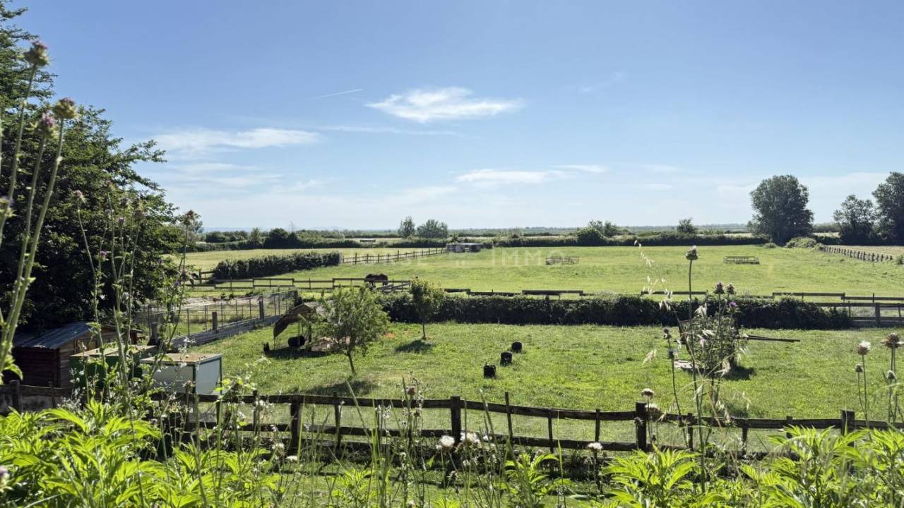 Propiedad ecuestre En venta Bocas del R&oacute;dano