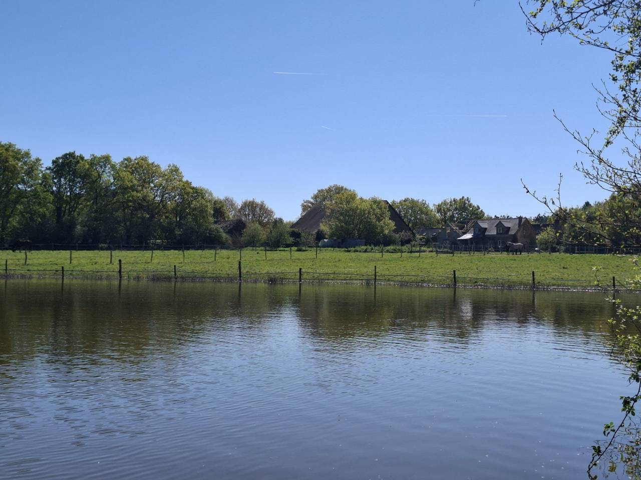 Albergue ecuestre En venta Loira Atl&aacute;ntico