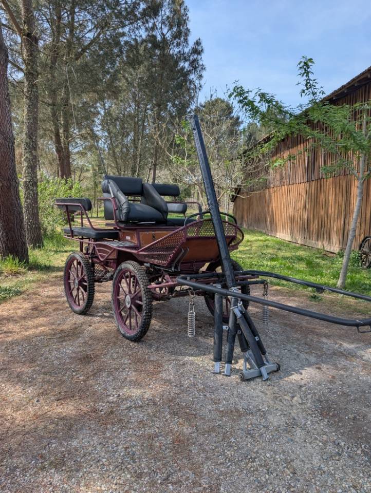 Coche enganches - Calesa - Otra marca - 6 PLACES 