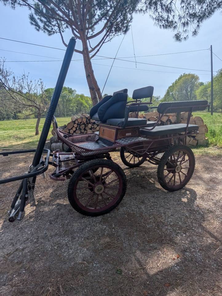 Coche enganches - Calesa - Otra marca - 6 PLACES 