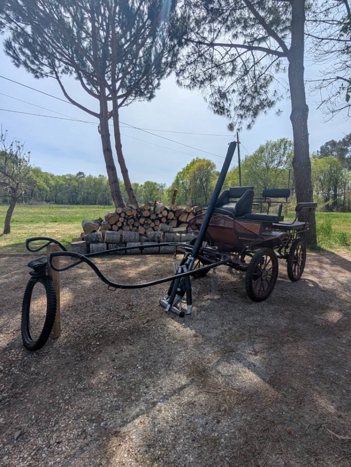 Coche enganches - Calesa - Otra marca - 6 PLACES 