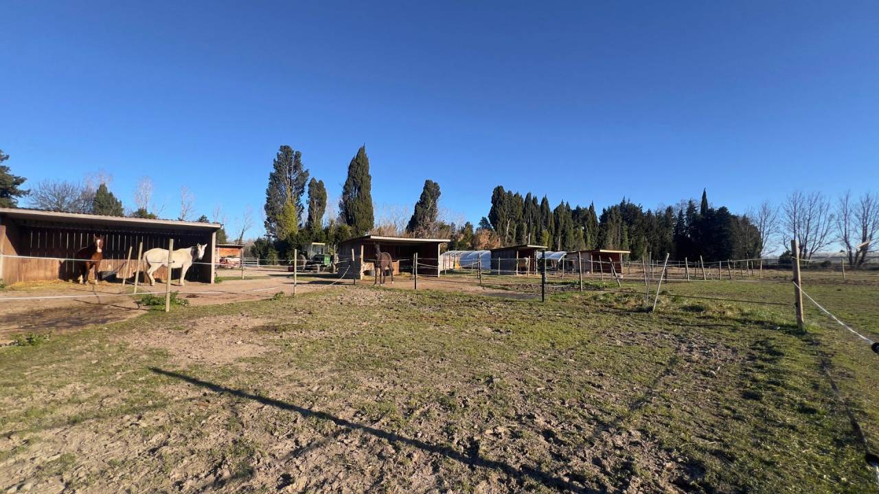 Propiedad ecuestre En venta Bocas del R&oacute;dano