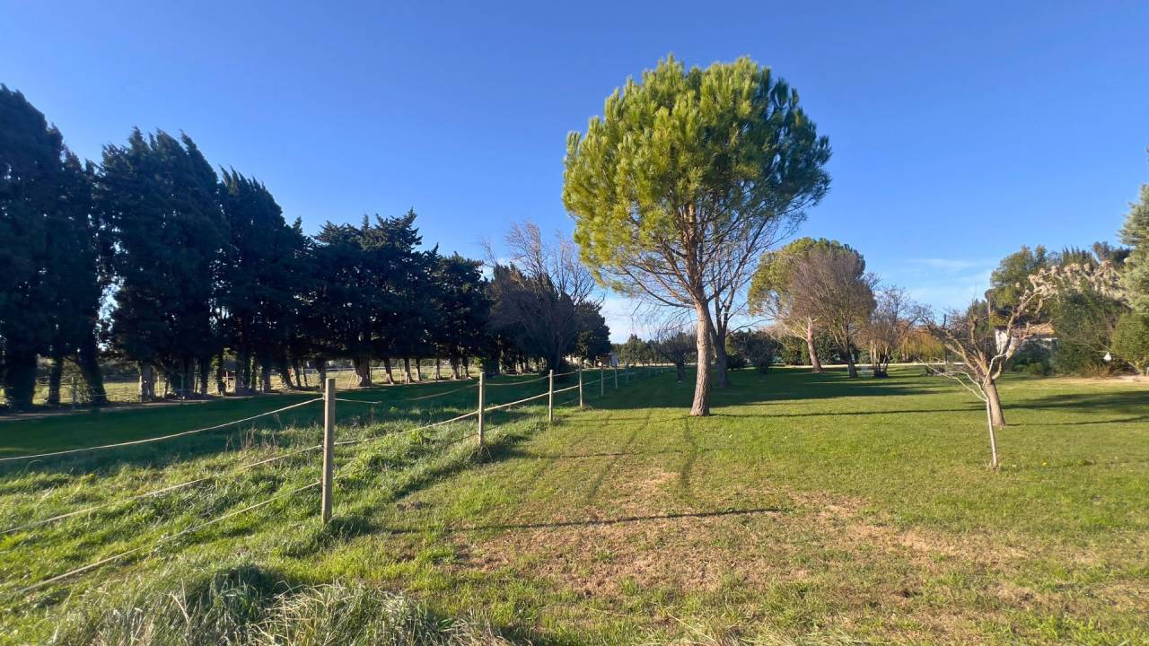 Propiedad ecuestre En venta Bocas del R&oacute;dano