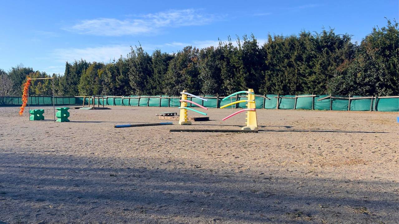 Propiedad ecuestre En venta Bocas del R&oacute;dano