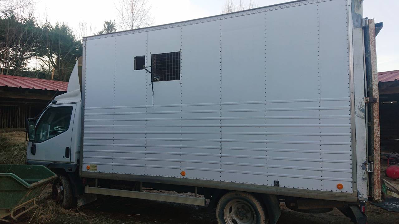Furgoneta para caballos Mitsubishi canter 1999 De segunda mano