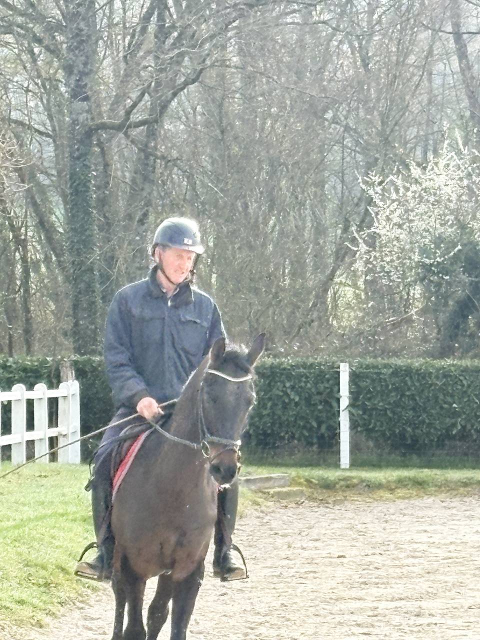 Caballo castrado Westfaliano En venta 2022 Bayo moreno por Franziskus