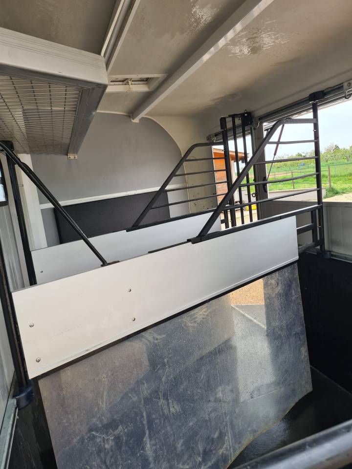 Van caballos Cheval Libert&eacute; Minimax 3 Caballos 2020 De segunda mano