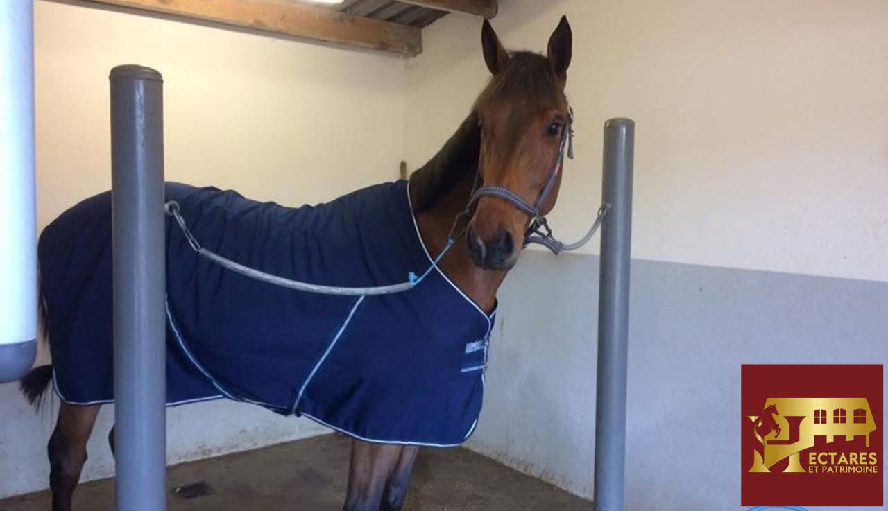 Cuadra de propietarios En venta Is&egrave;re