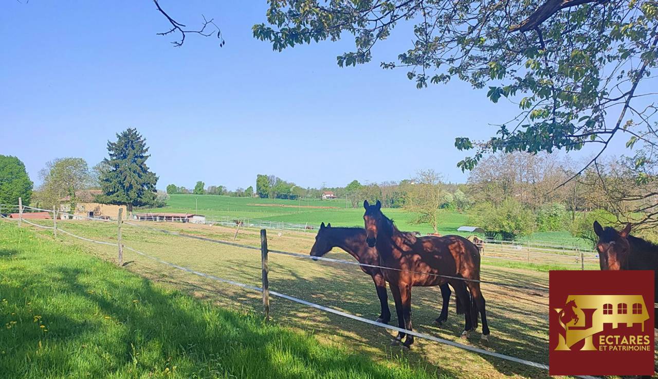 Cuadra de propietarios En venta Is&egrave;re