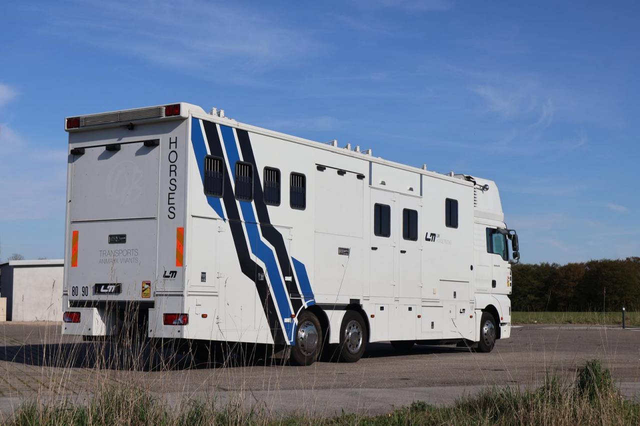 Cami&oacute;n para caballos Man MAN TGA 26.430 JL POP OUT 2006 De segunda mano