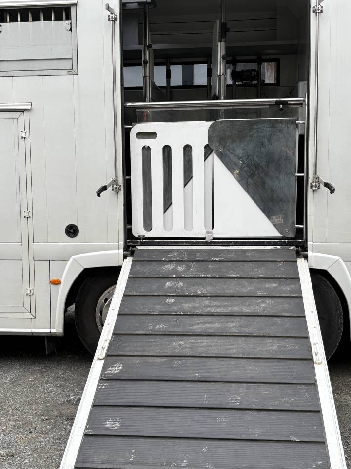 Cami&oacute;n para caballos Renault MAGNUM STX 2011 De segunda mano