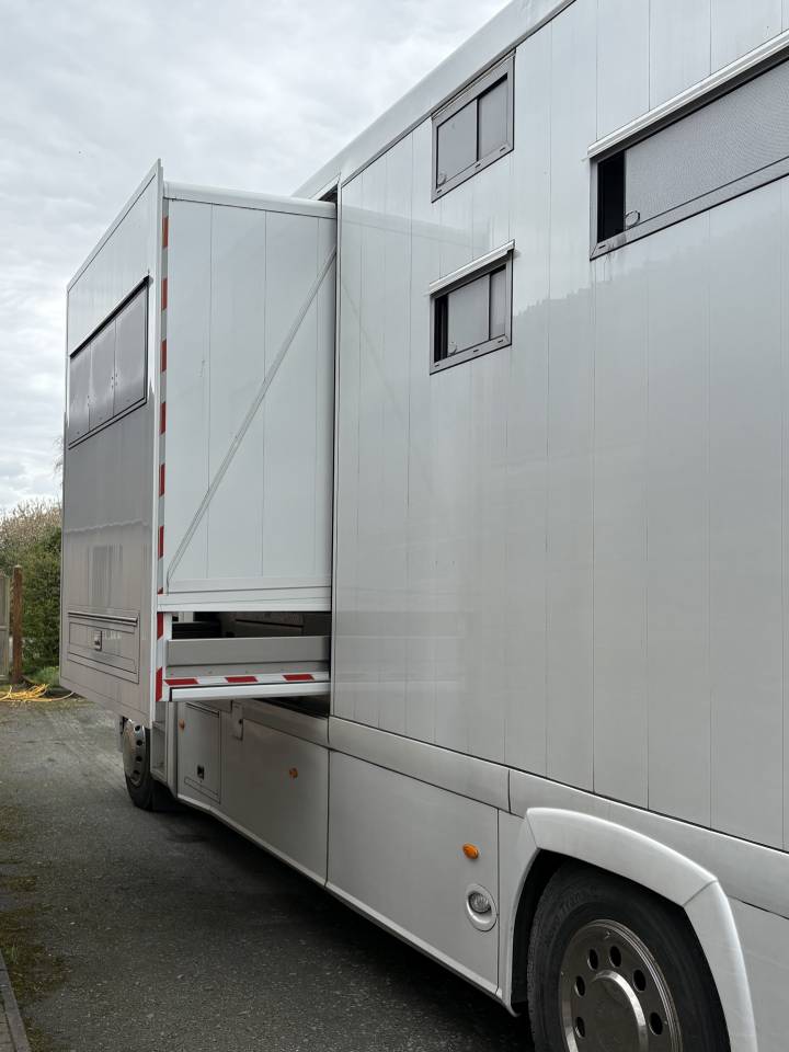 Cami&oacute;n para caballos Renault MAGNUM STX 2011 De segunda mano