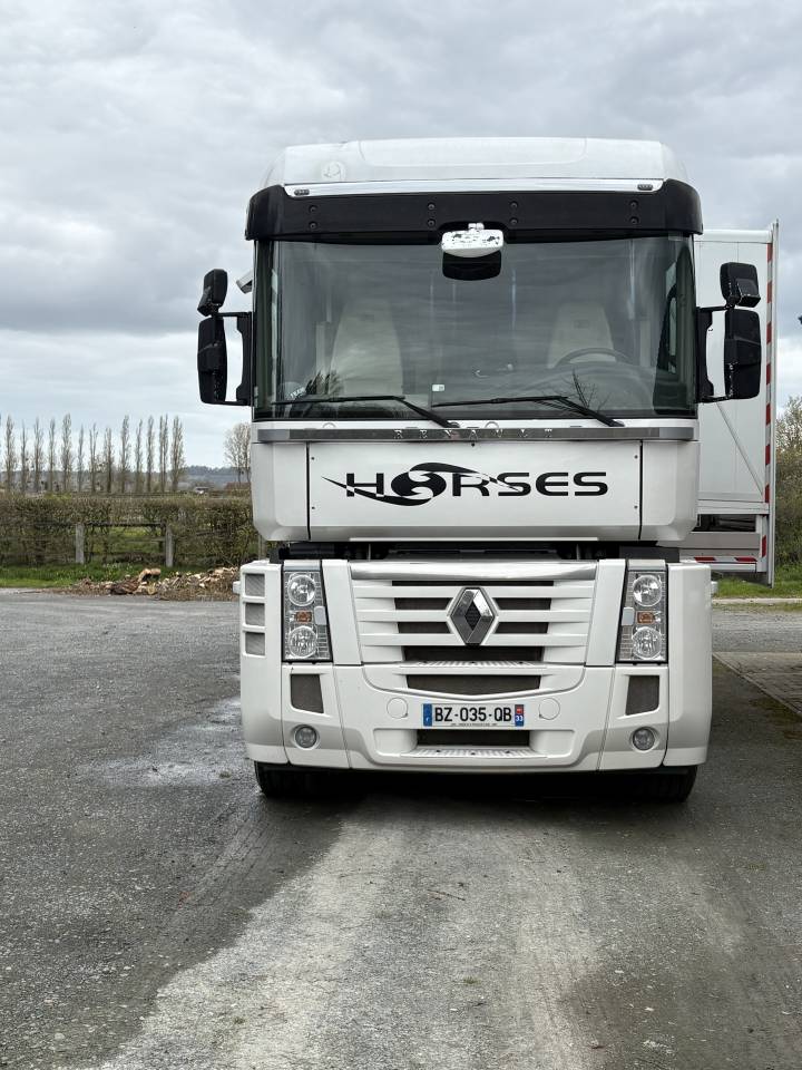 Cami&oacute;n para caballos Renault MAGNUM STX 2011 De segunda mano