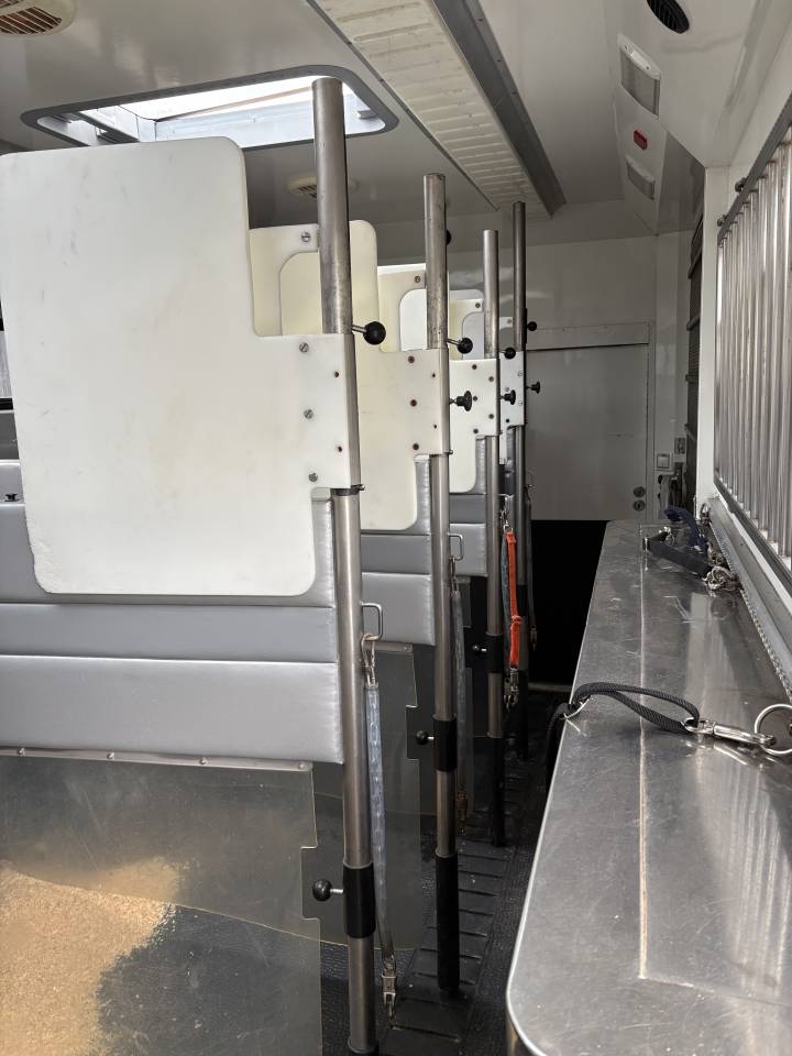 Cami&oacute;n para caballos Renault MAGNUM STX 2011 De segunda mano