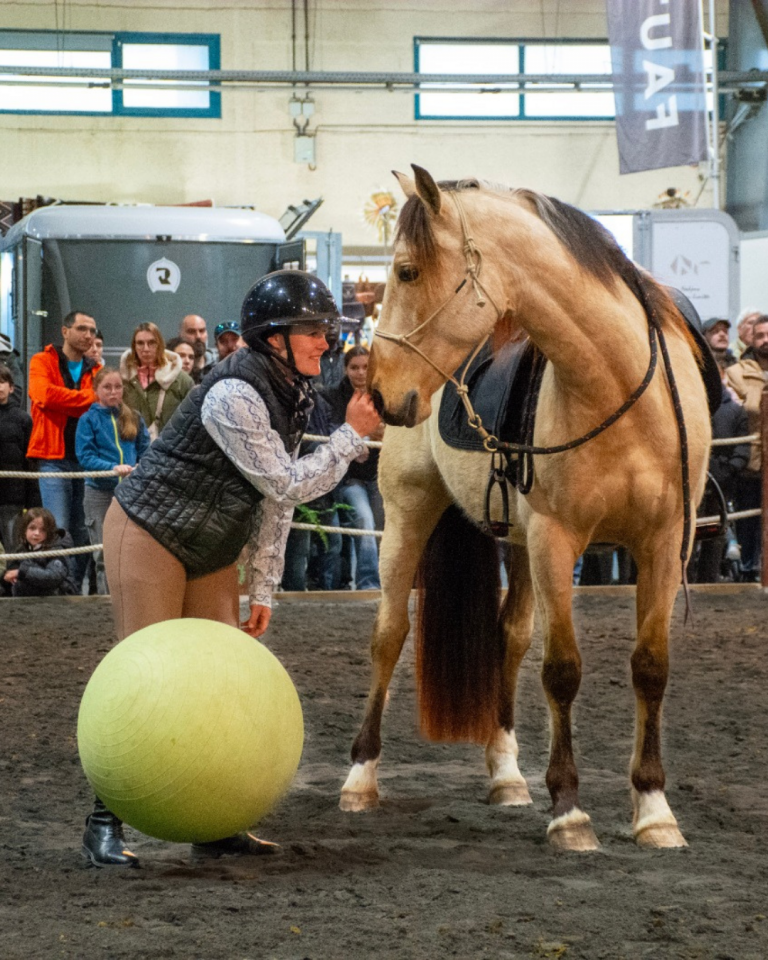 Caballo castrado PRE Pura Raza Espa&ntilde;ola En venta 2021 Isabelo