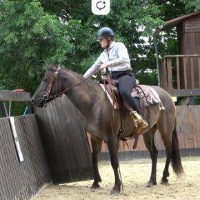 Yegua Quarter Horse En venta 2020 Grullo por JAZ GC DE PLATA