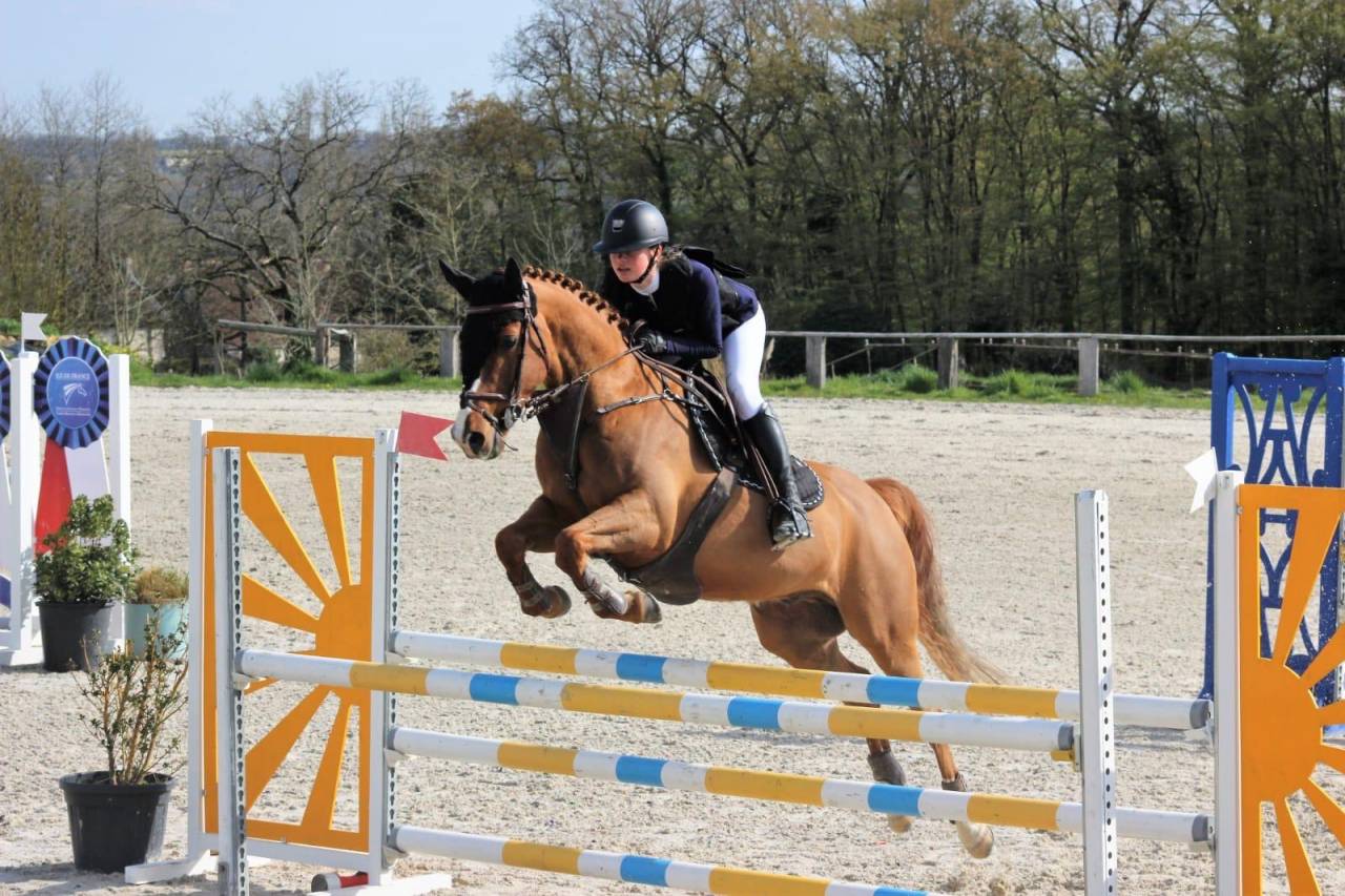 Caballo castrado PFS Poni Fran&ccedil;&eacute;s de Silla En venta 2011 Alaz&aacute;n por MEEPING CHA DE FLORYS