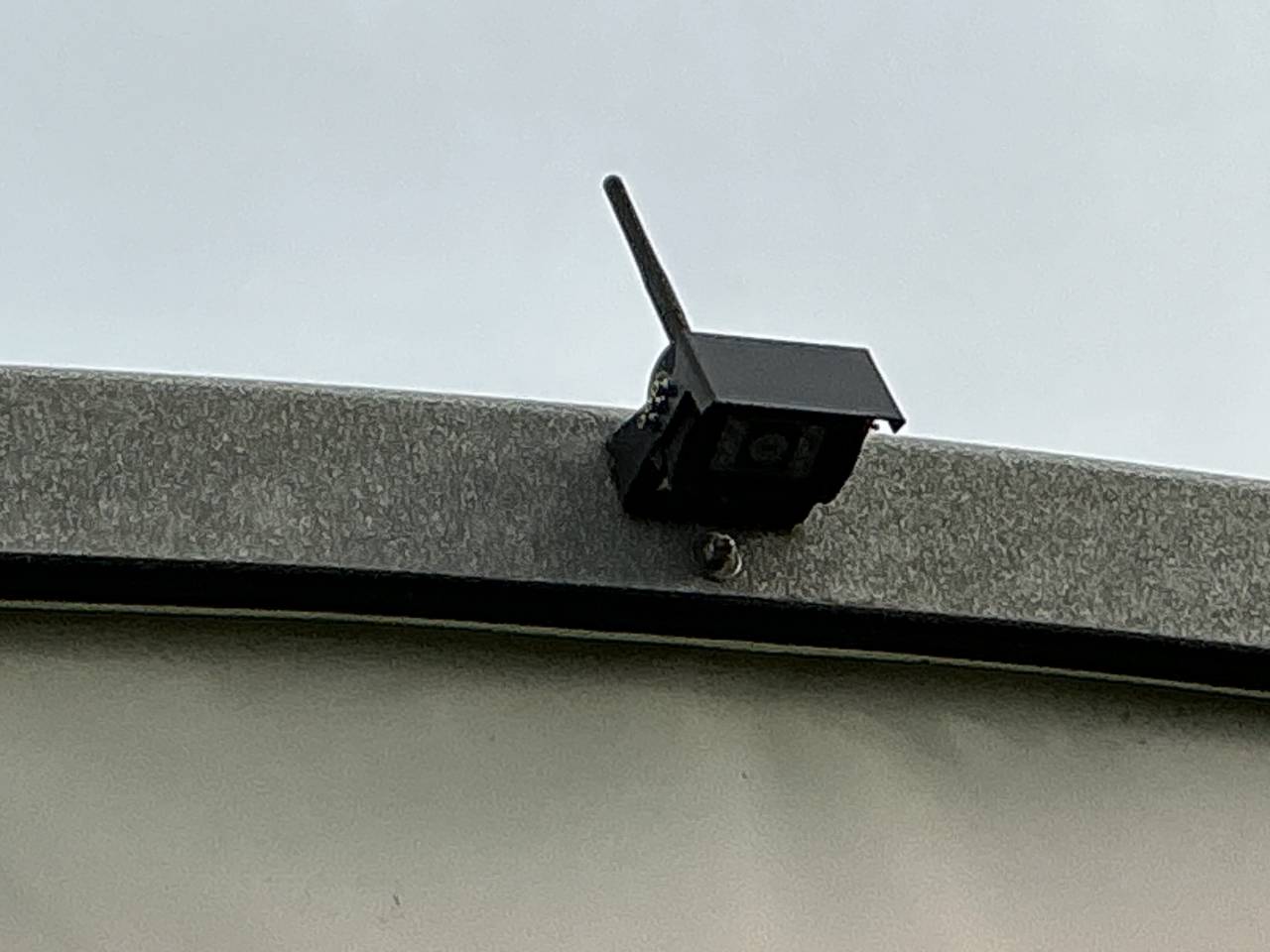 Van caballos Bockmann PORTAX E 2 Caballos 2021 De segunda mano