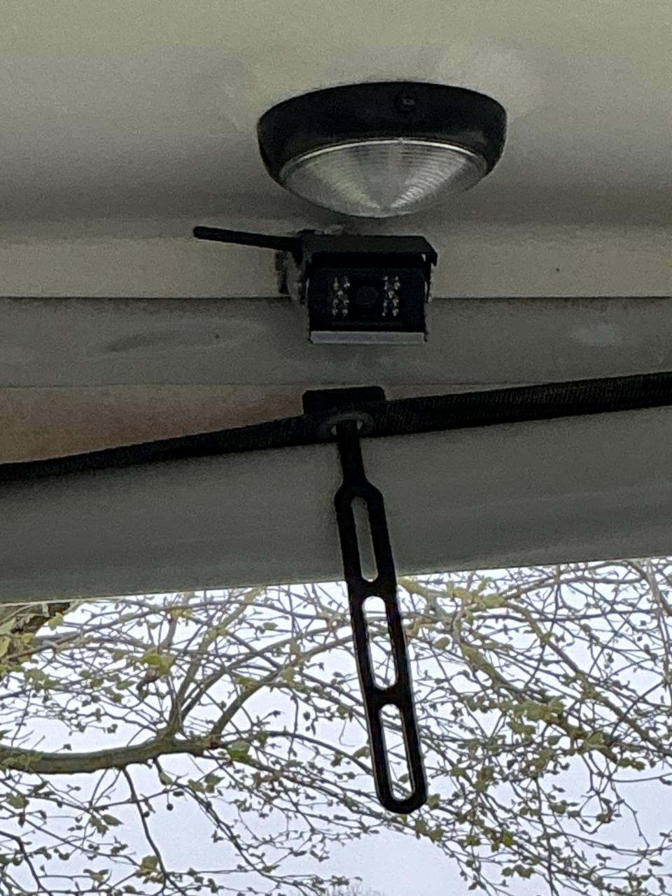 Van caballos Bockmann PORTAX E 2 Caballos 2021 De segunda mano