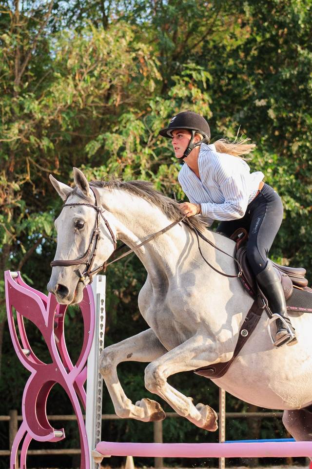 Caballo castrado Caballo de Deporte Irland&eacute;s En venta 2022 Tordo por Don vhp z