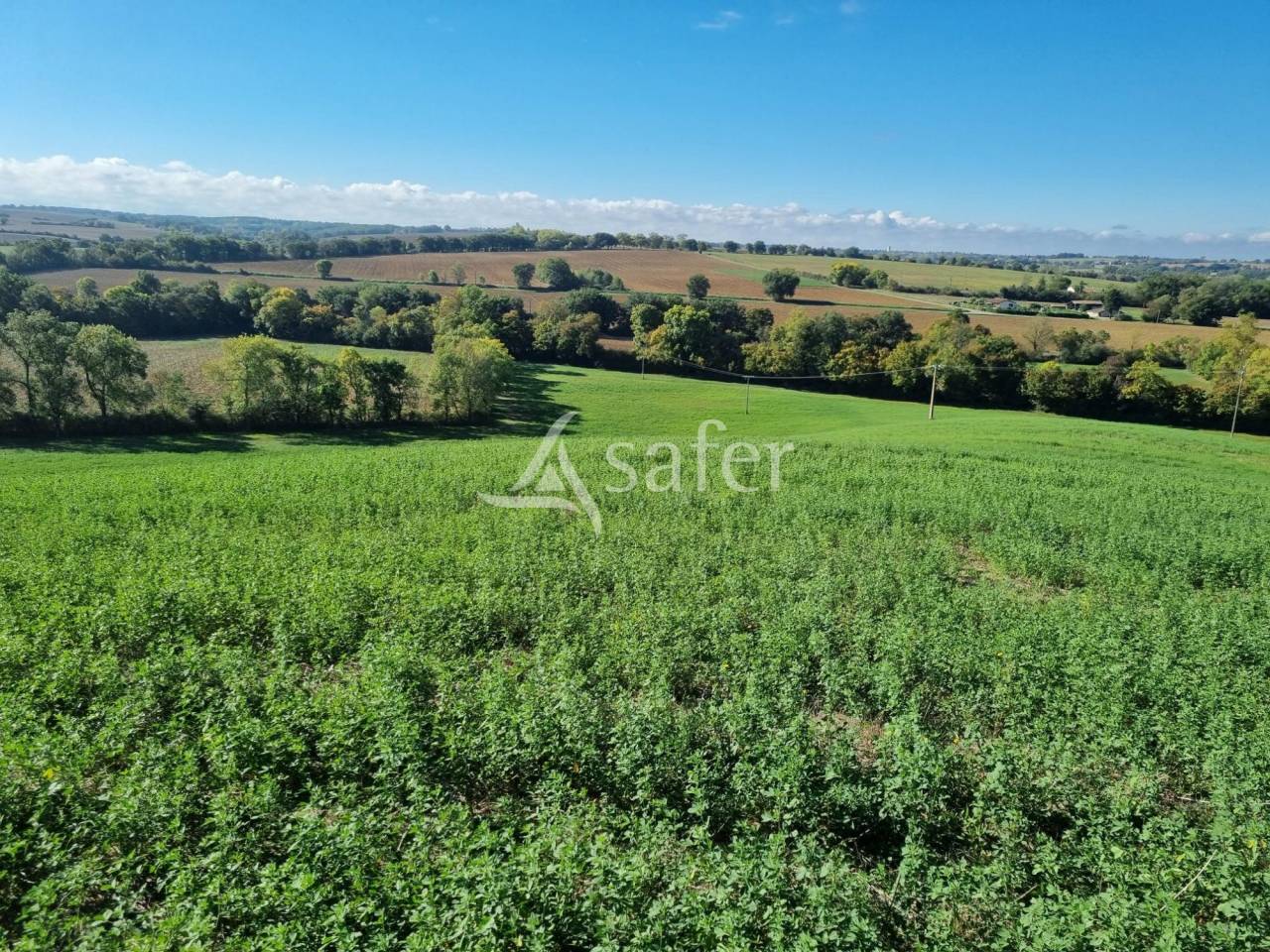 Explotaci&oacute;n cerealista En venta Gers