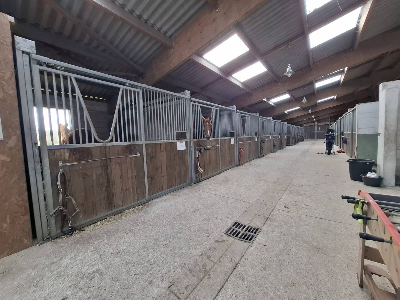 Propiedad ecuestre En venta Loiret