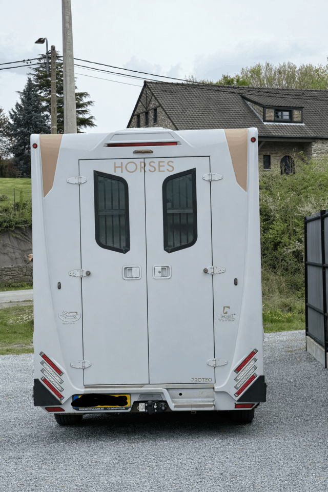 Furgoneta para caballos Theault THEAULT RENAULT MASTER 2021 De segunda mano